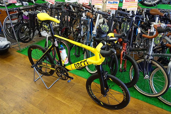 Tern Surge PROのブレーキを交換してから猪名川～甲子園～武庫川ライド