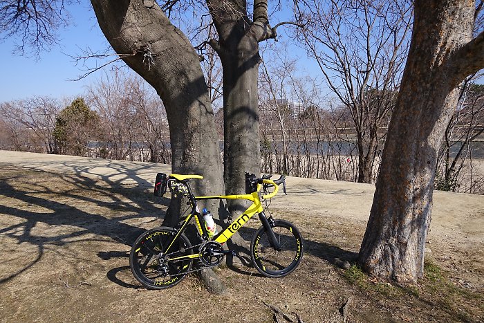 f:id:Rider_Hide:20190202180502j:plain f:id:Rider_Hide:20190202180502j:plain