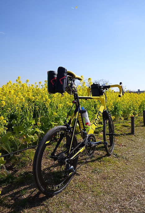 f:id:Rider_Hide:20190202180604j:plain f:id:Rider_Hide:20190202180604j:plain