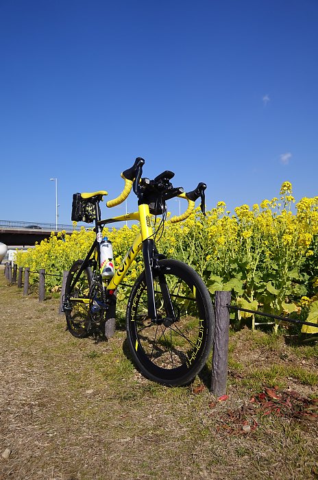 f:id:Rider_Hide:20190202180608j:plain f:id:Rider_Hide:20190202180608j:plain