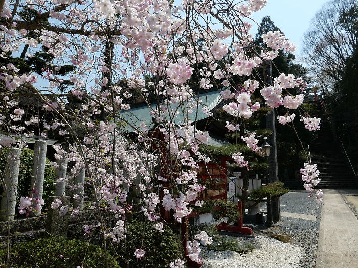 f:id:Rider_Hide:20190406203755j:plain f:id:Rider_Hide:20190406203755j:plain