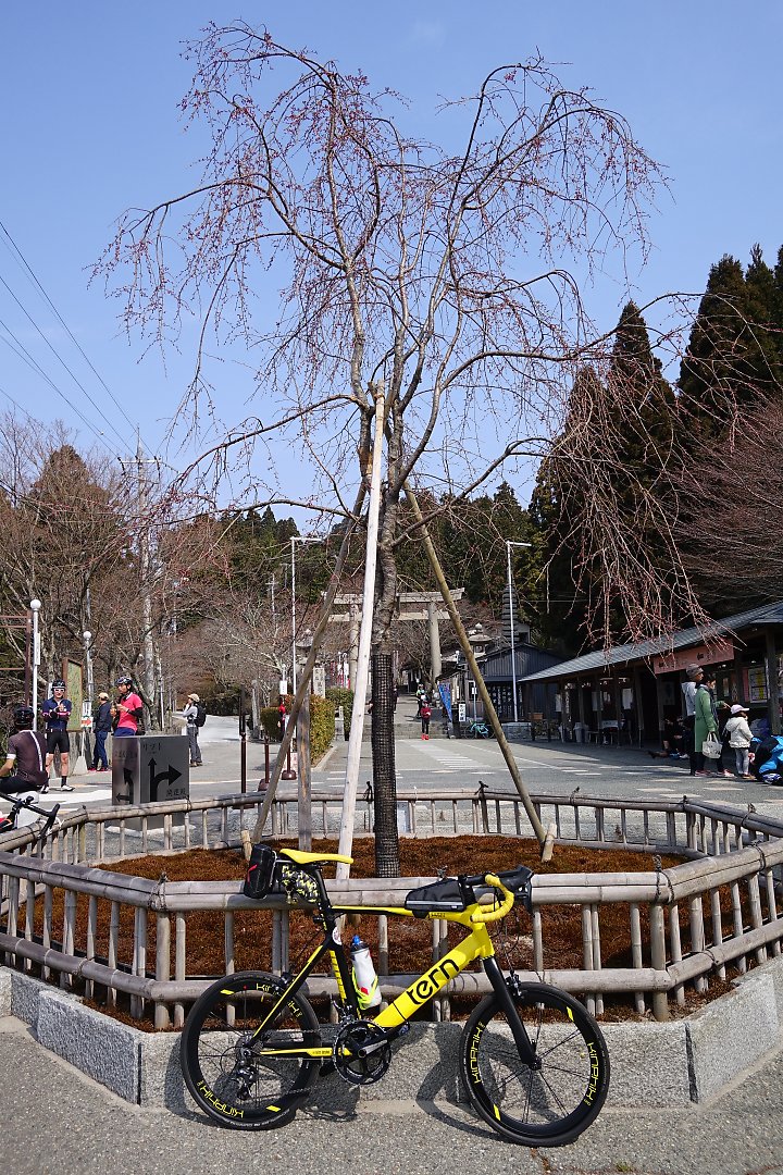 f:id:Rider_Hide:20190407194007j:plain f:id:Rider_Hide:20190407194007j:plain