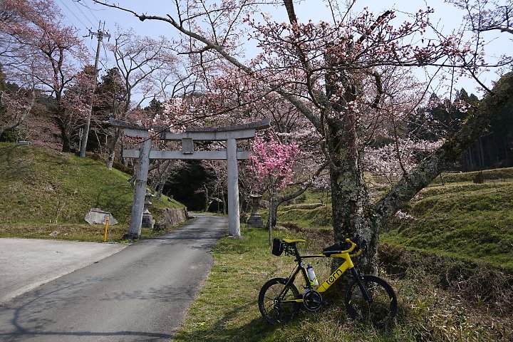 f:id:Rider_Hide:20190407194040j:plain f:id:Rider_Hide:20190407194040j:plain