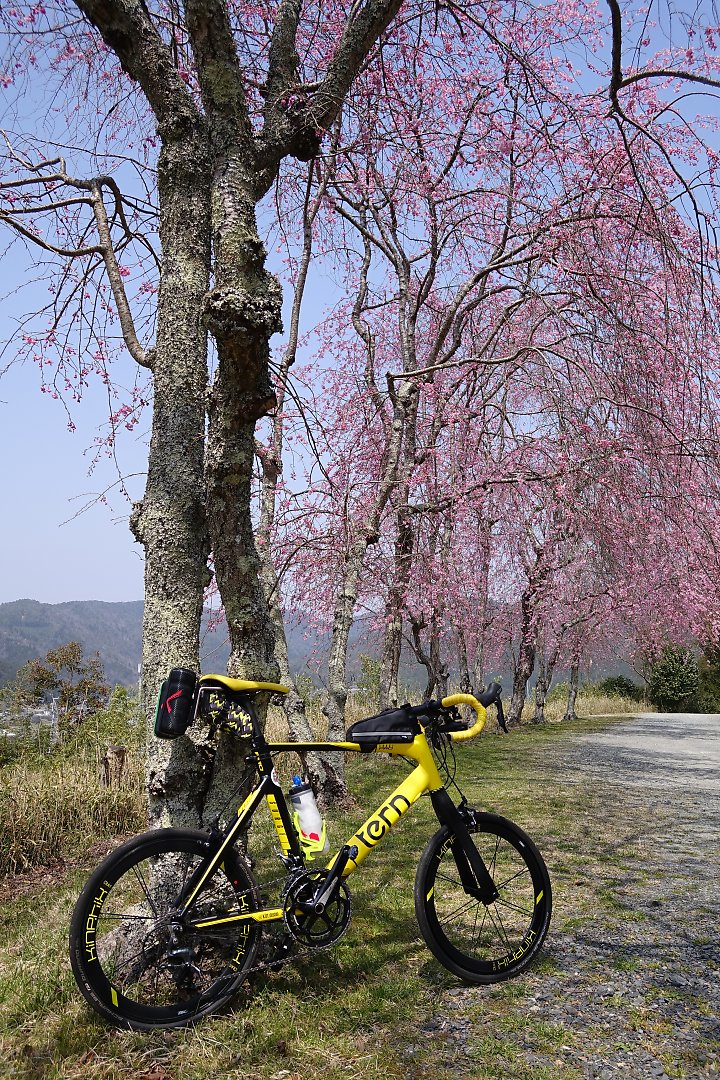 f:id:Rider_Hide:20190407194050j:plain f:id:Rider_Hide:20190407194050j:plain