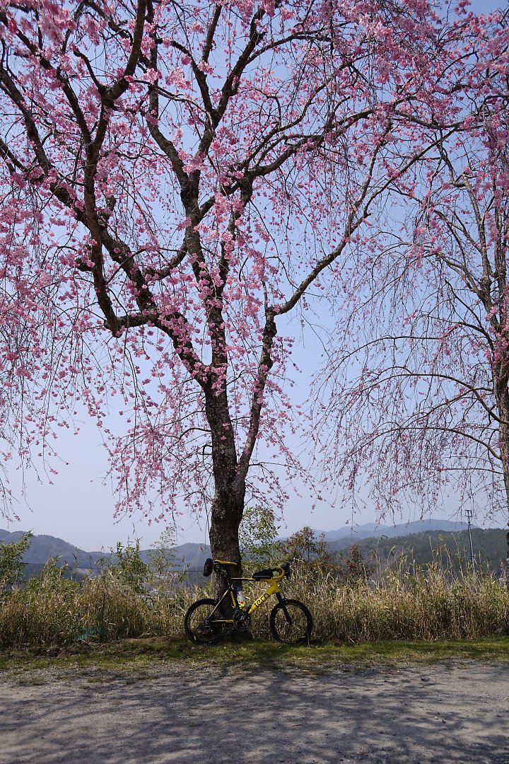f:id:Rider_Hide:20190407194058j:plain f:id:Rider_Hide:20190407194058j:plain