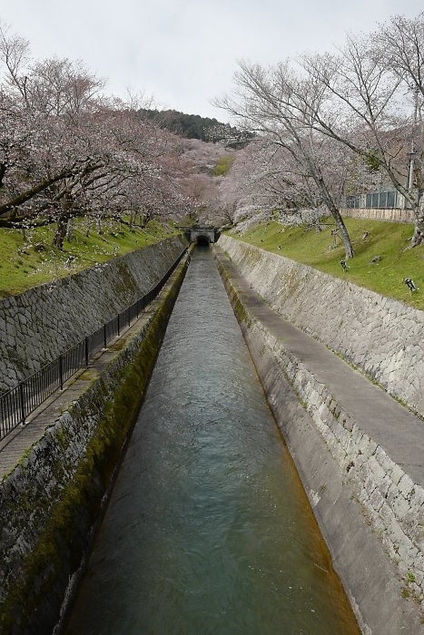 f:id:Rider_Hide:20190407195834j:plain f:id:Rider_Hide:20190407195834j:plain