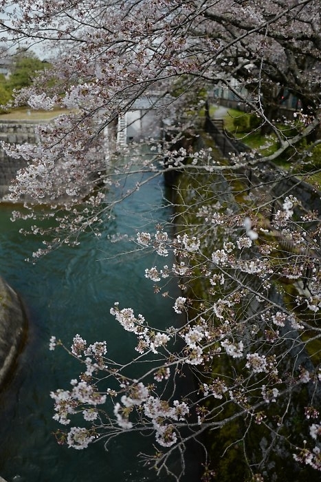 f:id:Rider_Hide:20190407195842j:plain f:id:Rider_Hide:20190407195842j:plain
