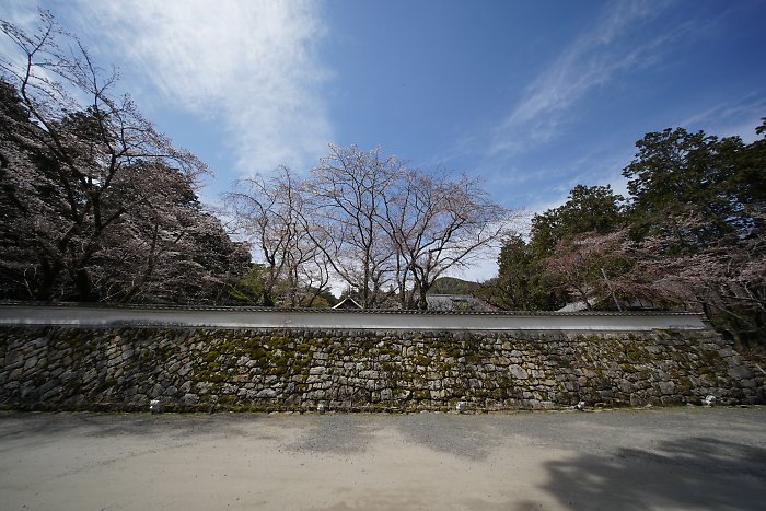 f:id:Rider_Hide:20190407195858j:plain f:id:Rider_Hide:20190407195858j:plain