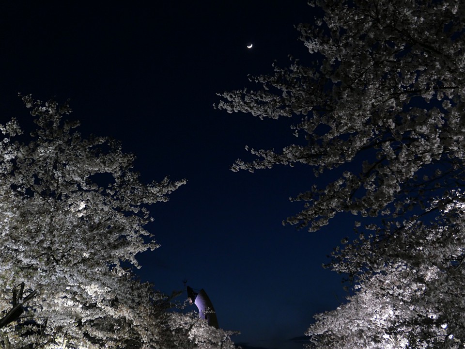 f:id:Rider_Hide:20190409222636j:plain f:id:Rider_Hide:20190409222636j:plain