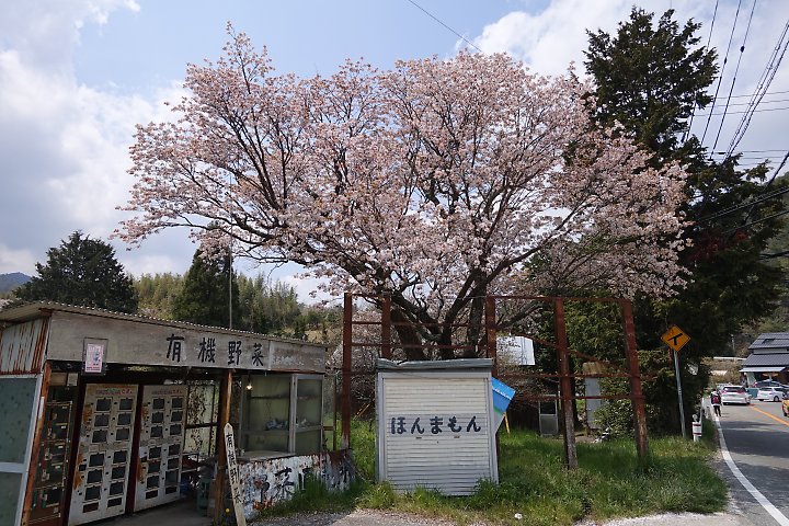 f:id:Rider_Hide:20190421201104j:plain f:id:Rider_Hide:20190421201104j:plain