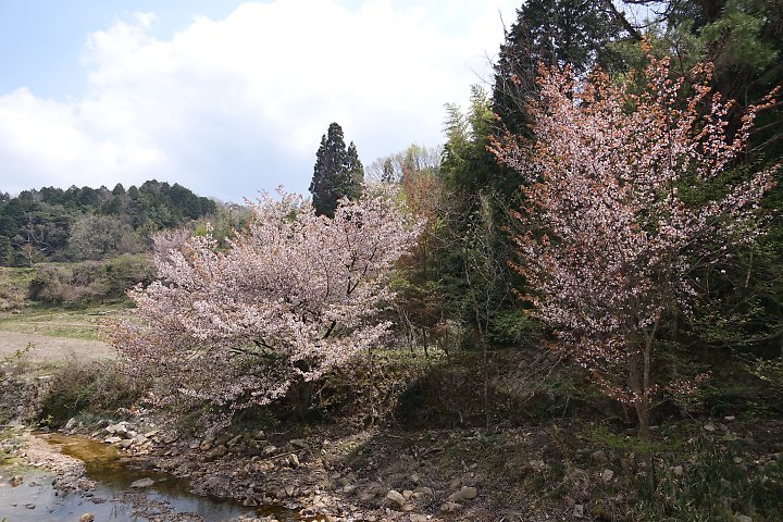 f:id:Rider_Hide:20190421201108j:plain f:id:Rider_Hide:20190421201108j:plain