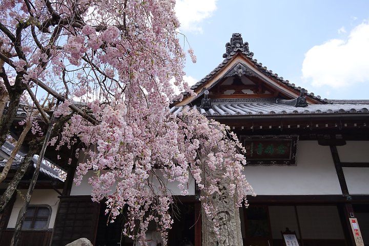 f:id:Rider_Hide:20190421201131j:plain f:id:Rider_Hide:20190421201131j:plain