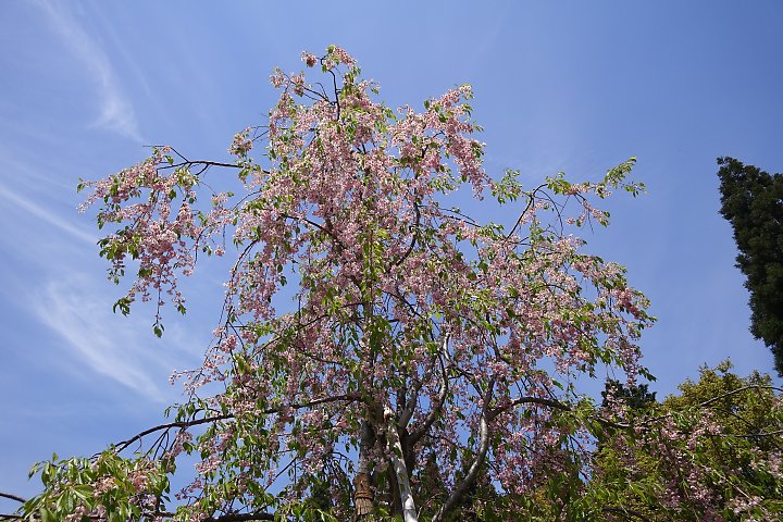 f:id:Rider_Hide:20190505183112j:plain f:id:Rider_Hide:20190505183112j:plain