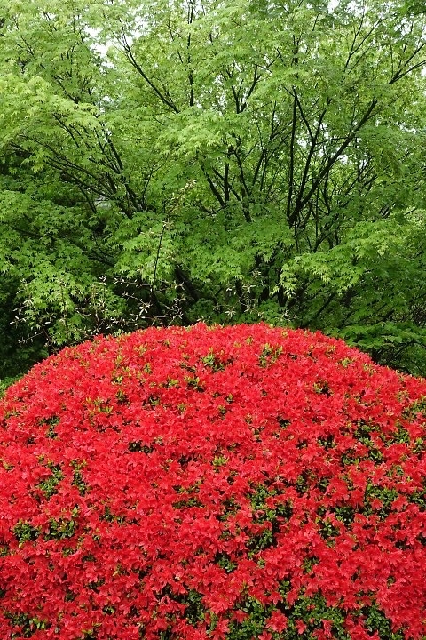 f:id:Rider_Hide:20190506173606j:plain f:id:Rider_Hide:20190506173606j:plain