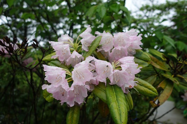 f:id:Rider_Hide:20190506173712j:plain f:id:Rider_Hide:20190506173712j:plain