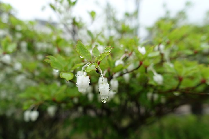 f:id:Rider_Hide:20190506173822j:plain f:id:Rider_Hide:20190506173822j:plain