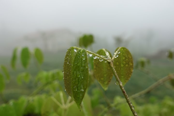 f:id:Rider_Hide:20190506173853j:plain f:id:Rider_Hide:20190506173853j:plain