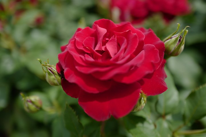 f:id:Rider_Hide:20190519210923j:plain f:id:Rider_Hide:20190519210923j:plain