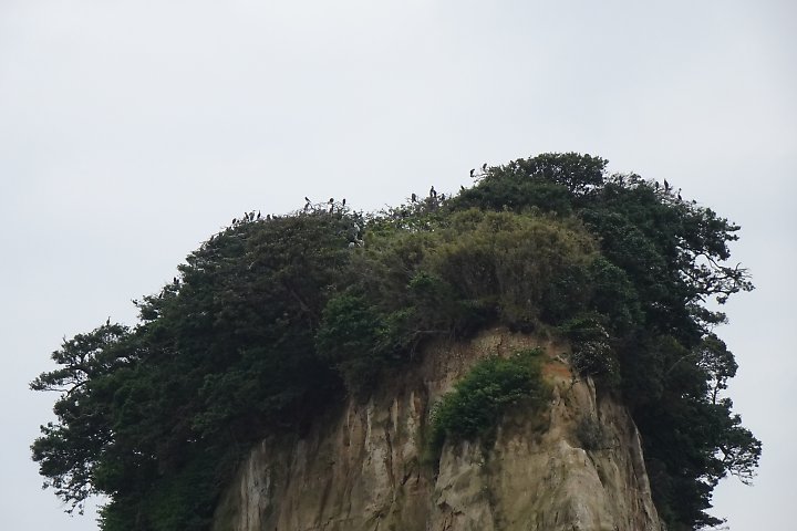 f:id:Rider_Hide:20190610140646j:plain f:id:Rider_Hide:20190610140646j:plain