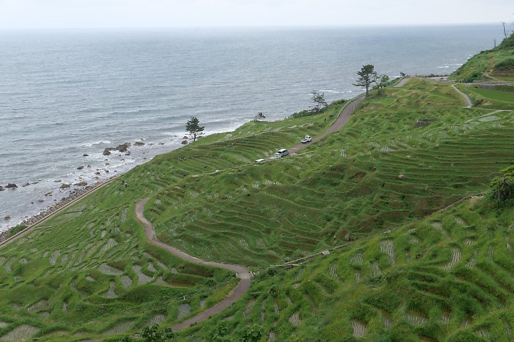 f:id:Rider_Hide:20190610144151j:plain f:id:Rider_Hide:20190610144151j:plain
