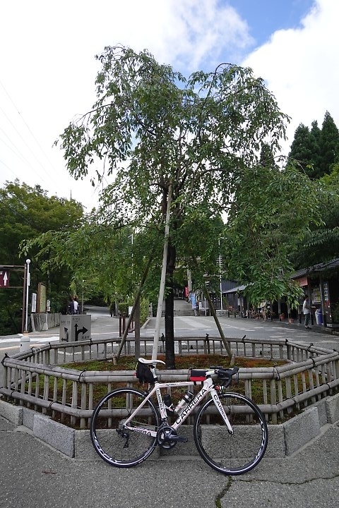 f:id:Rider_Hide:20190715180134j:plain f:id:Rider_Hide:20190715180134j:plain