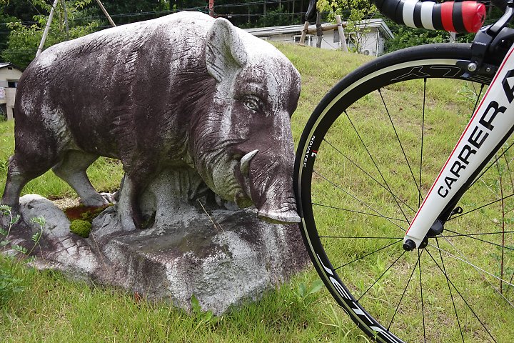f:id:Rider_Hide:20190715180237j:plain f:id:Rider_Hide:20190715180237j:plain