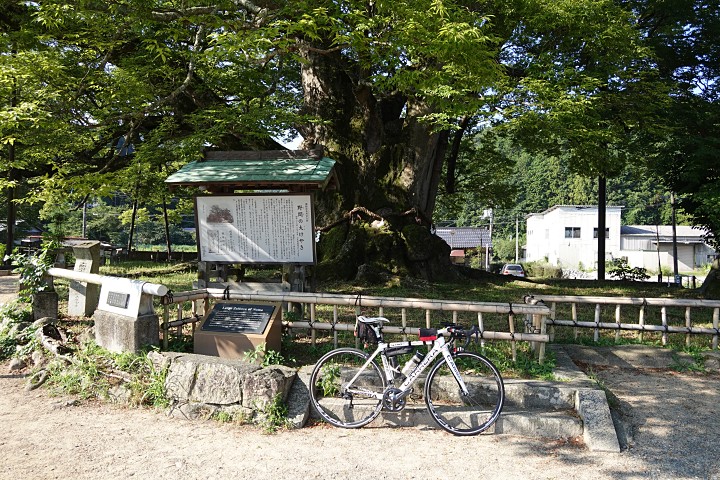 f:id:Rider_Hide:20190811111921j:plain f:id:Rider_Hide:20190811111921j:plain