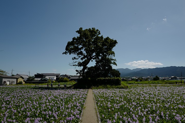 f:id:Rider_Hide:20190915205042j:plain f:id:Rider_Hide:20190915205042j:plain