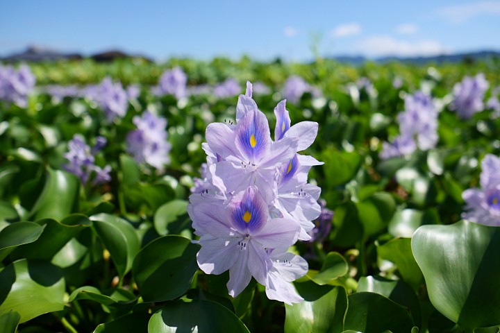 f:id:Rider_Hide:20190915205045j:plain f:id:Rider_Hide:20190915205045j:plain