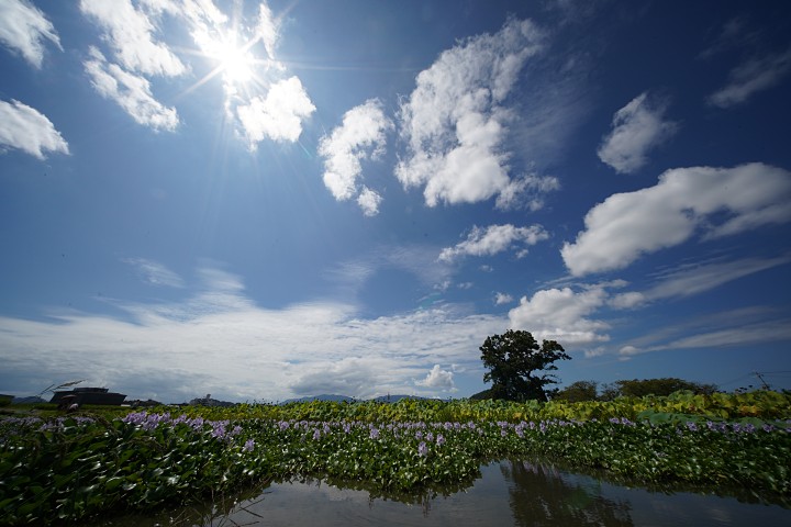 f:id:Rider_Hide:20190915205217j:plain f:id:Rider_Hide:20190915205217j:plain