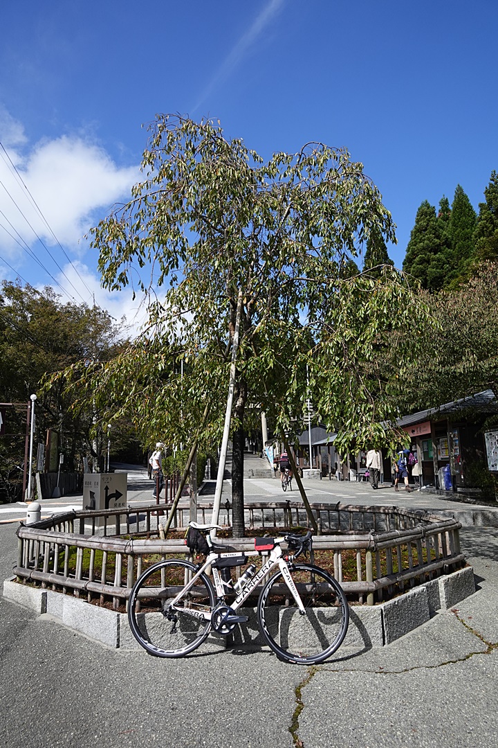 f:id:Rider_Hide:20191006200027j:plain f:id:Rider_Hide:20191006200027j:plain