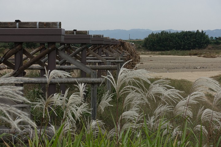 f:id:Rider_Hide:20191103211225j:plain f:id:Rider_Hide:20191103211225j:plain