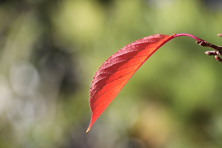 f:id:Rider_Hide:20191123183926j:plain f:id:Rider_Hide:20191123183926j:plain