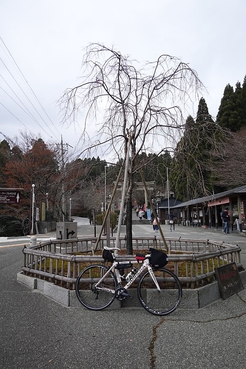 f:id:Rider_Hide:20191208202404j:plain f:id:Rider_Hide:20191208202404j:plain