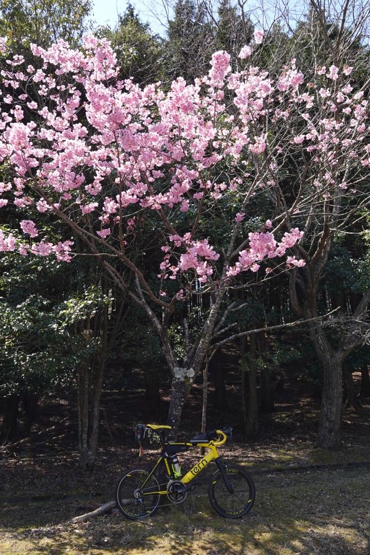 f:id:Rider_Hide:20200405195731j:plain f:id:Rider_Hide:20200405195731j:plain