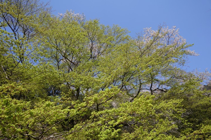 f:id:Rider_Hide:20200405195829j:plain f:id:Rider_Hide:20200405195829j:plain