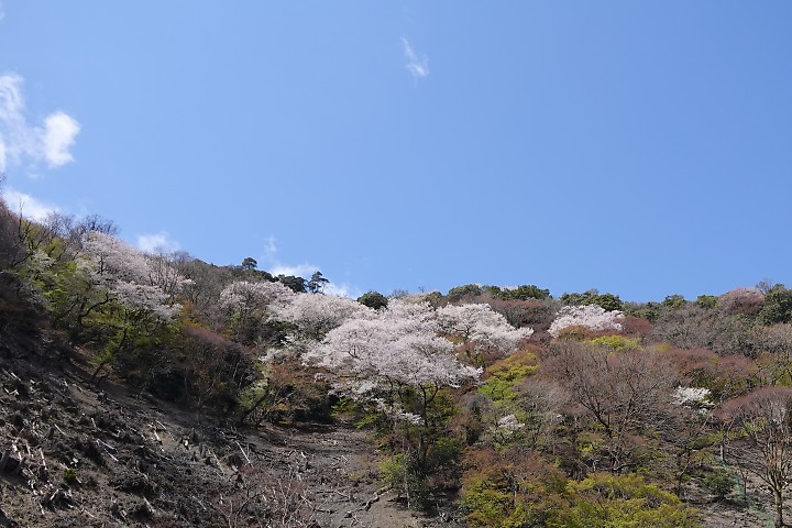 f:id:Rider_Hide:20200405195833j:plain f:id:Rider_Hide:20200405195833j:plain