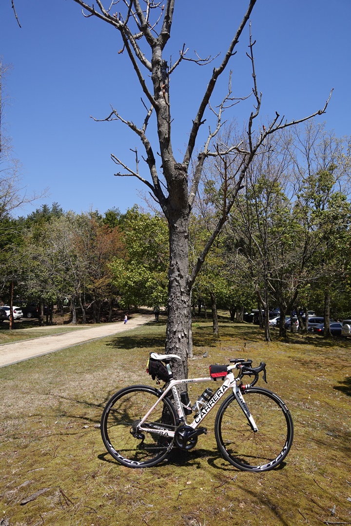 f:id:Rider_Hide:20200425171617j:plain f:id:Rider_Hide:20200425171617j:plain