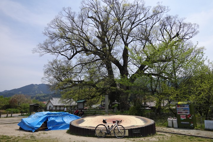 f:id:Rider_Hide:20200502181206j:plain f:id:Rider_Hide:20200502181206j:plain