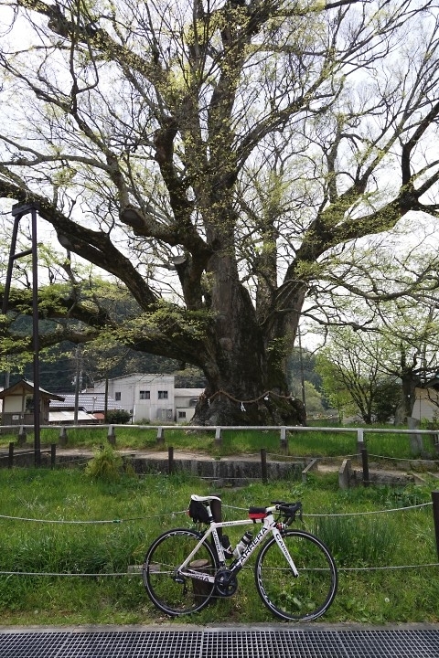 f:id:Rider_Hide:20200502181212j:plain f:id:Rider_Hide:20200502181212j:plain