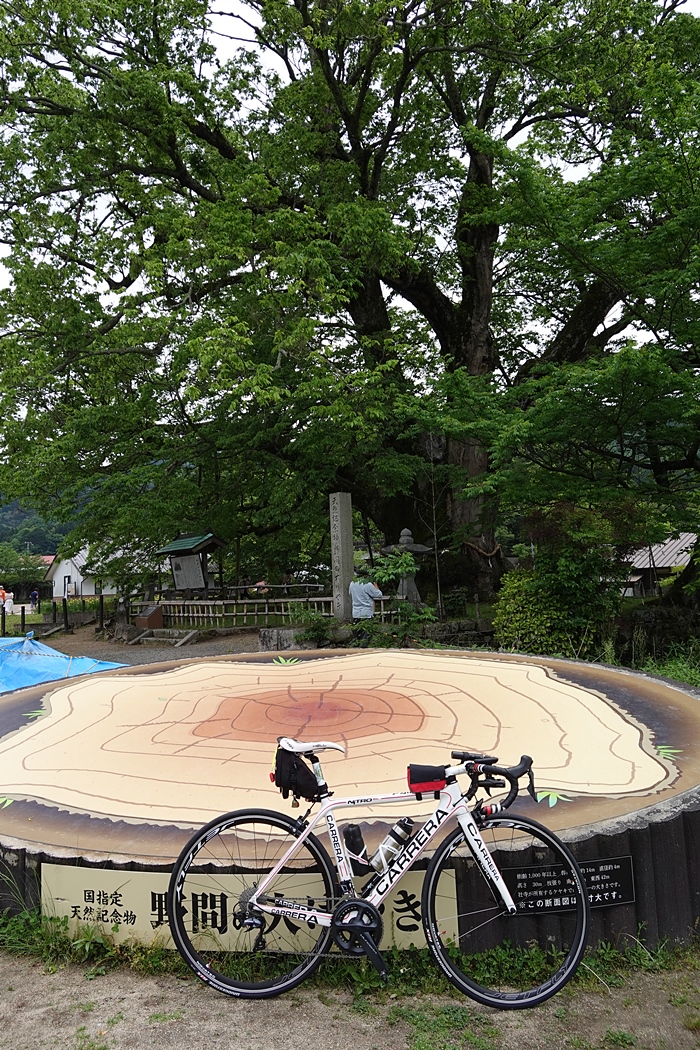 f:id:Rider_Hide:20200517181436j:plain f:id:Rider_Hide:20200517181436j:plain