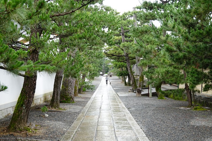 f:id:Rider_Hide:20200717222836j:plain f:id:Rider_Hide:20200717222836j:plain