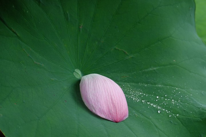 f:id:Rider_Hide:20200717223107j:plain f:id:Rider_Hide:20200717223107j:plain