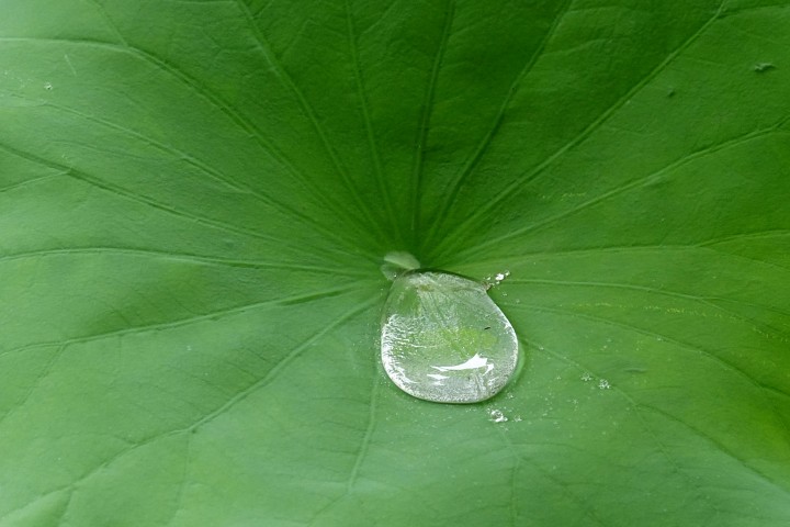 f:id:Rider_Hide:20200717223110j:plain f:id:Rider_Hide:20200717223110j:plain
