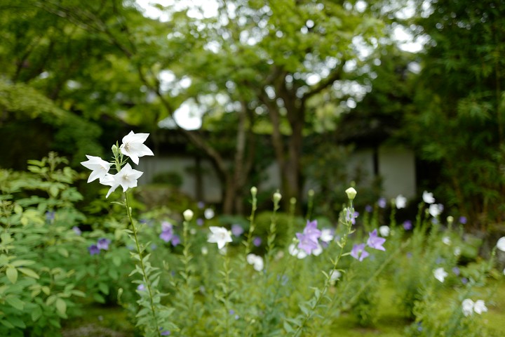 f:id:Rider_Hide:20200717224700j:plain f:id:Rider_Hide:20200717224700j:plain