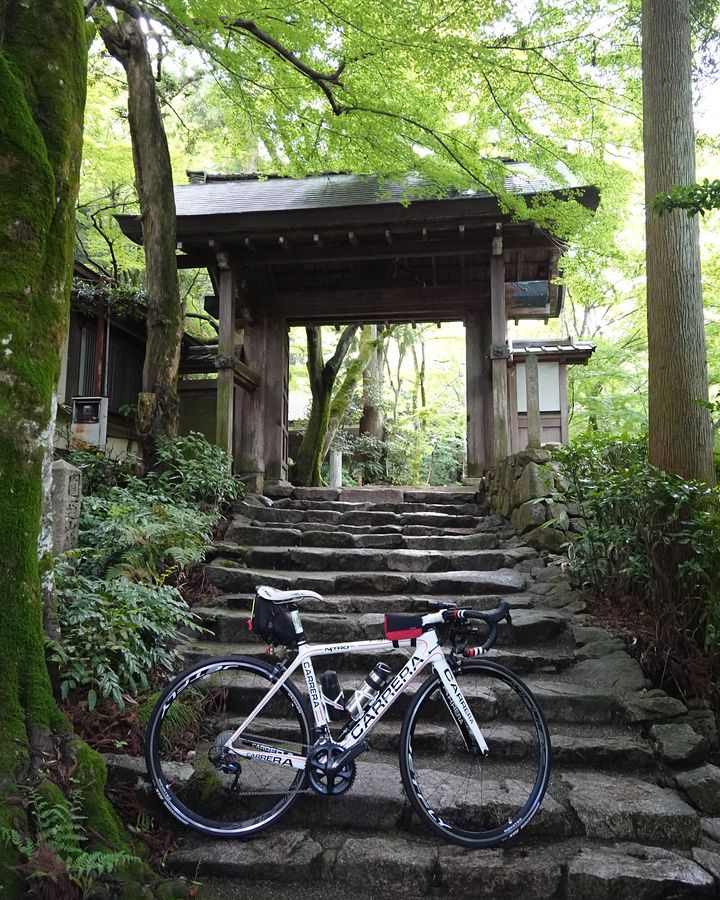 f:id:Rider_Hide:20200718173010j:plain f:id:Rider_Hide:20200718173010j:plain
