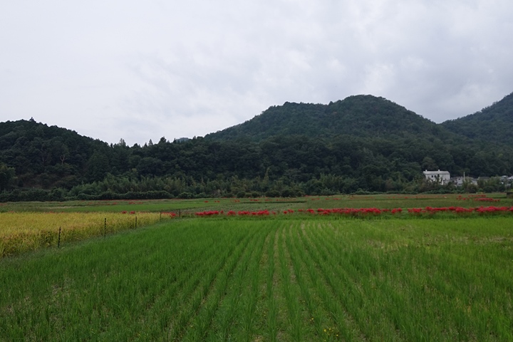 f:id:Rider_Hide:20201004184207j:plain f:id:Rider_Hide:20201004184207j:plain