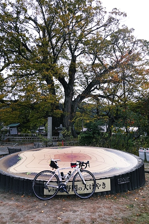 f:id:Rider_Hide:20201101195754j:plain f:id:Rider_Hide:20201101195754j:plain