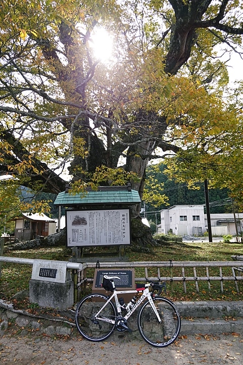 f:id:Rider_Hide:20201101195757j:plain f:id:Rider_Hide:20201101195757j:plain