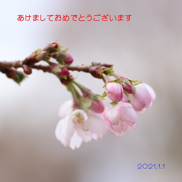 f:id:Rider_Hide:20210101180708j:plain